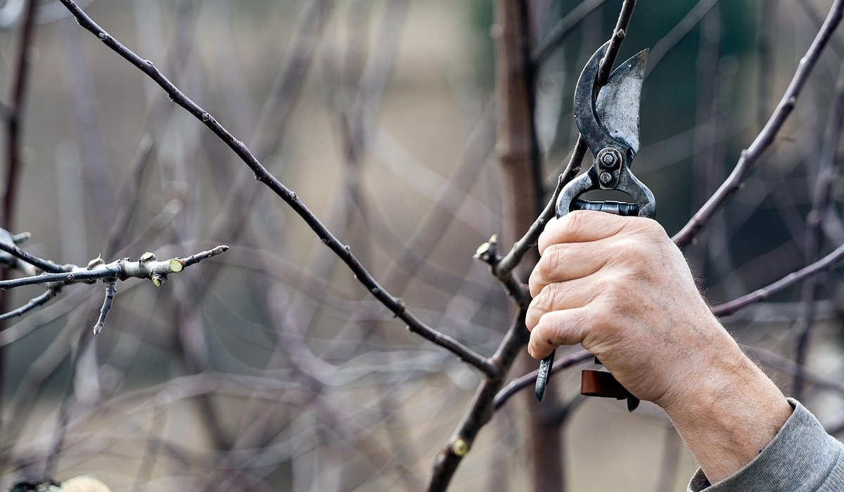 A Simple Guide to Sharpening Garden Tools