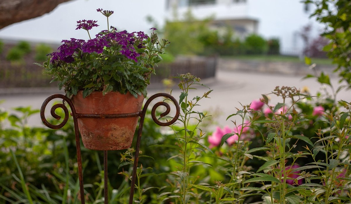 Mulching Borders to Suppress Weeds Naturally